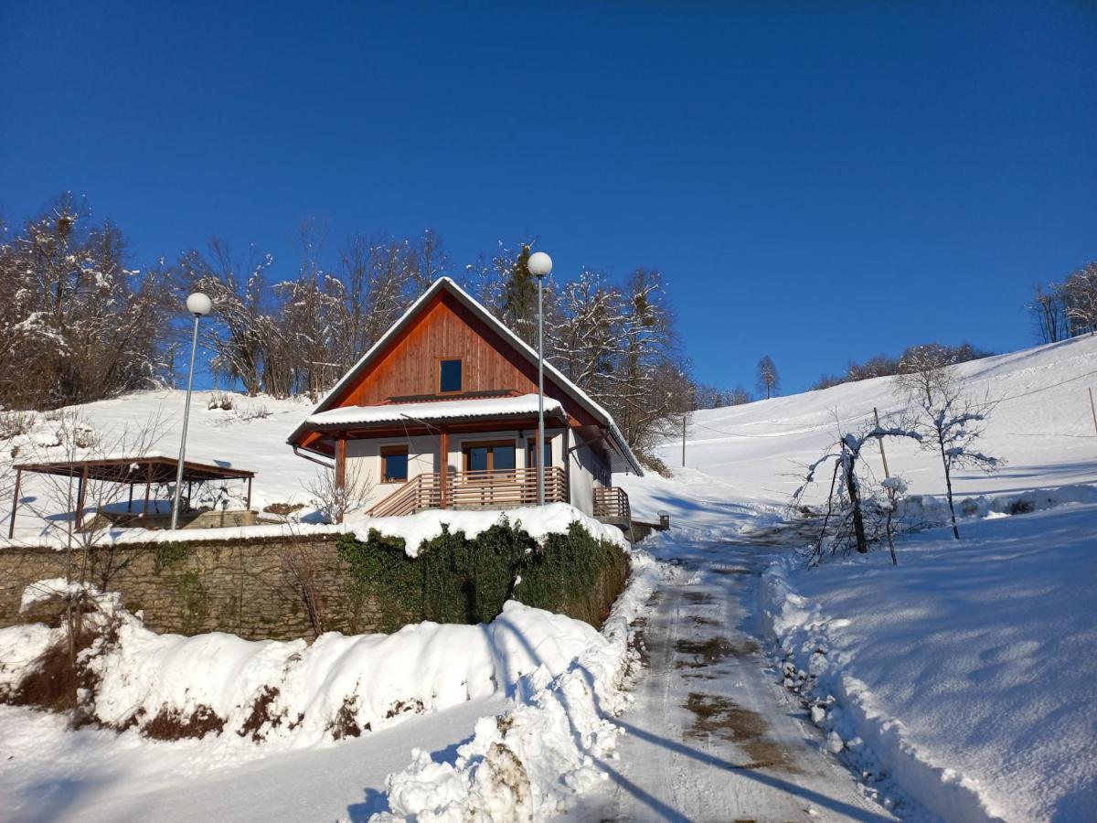 Valley View Holiday Home With Sauna Mrak Slap ob Idrijci 外观 照片